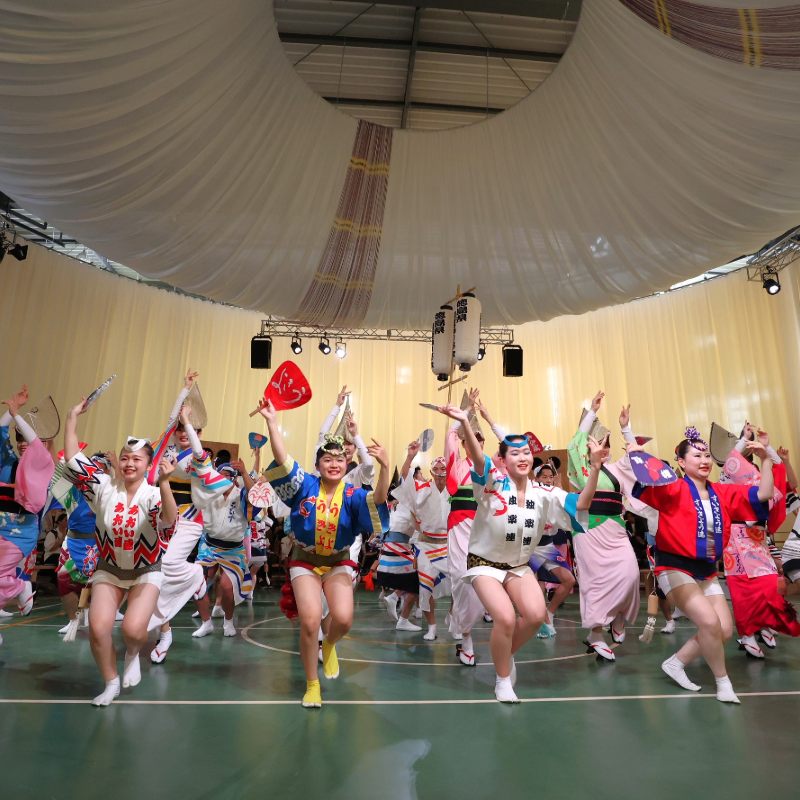 Experience Awa Odori Dancing in Year-Round Performances at tonaru SETO
